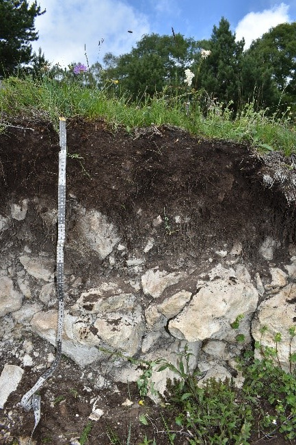 Экспедиция «Республика Дагестан». Карболитозем. ЦМП им. В.В. Докучаева