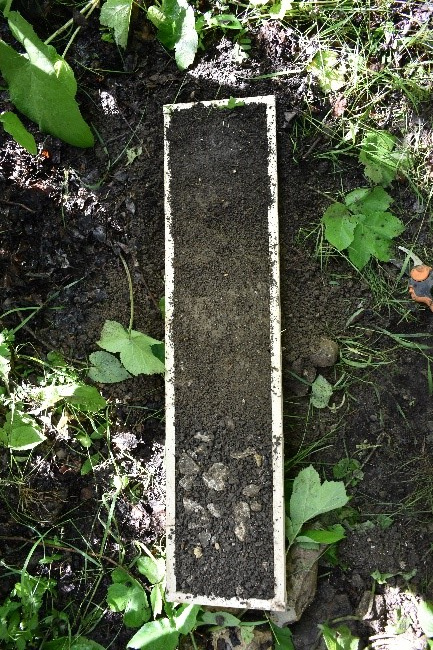 Экспедиция «Республика Дагестан». Искусственно созданная. ЦМП им. В.В. Докучаева