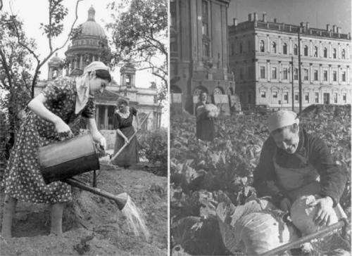 27 января приглашаем на лекцию-экскурсию «Блокадные огороды». ЦМП им. В.В. Докучаева