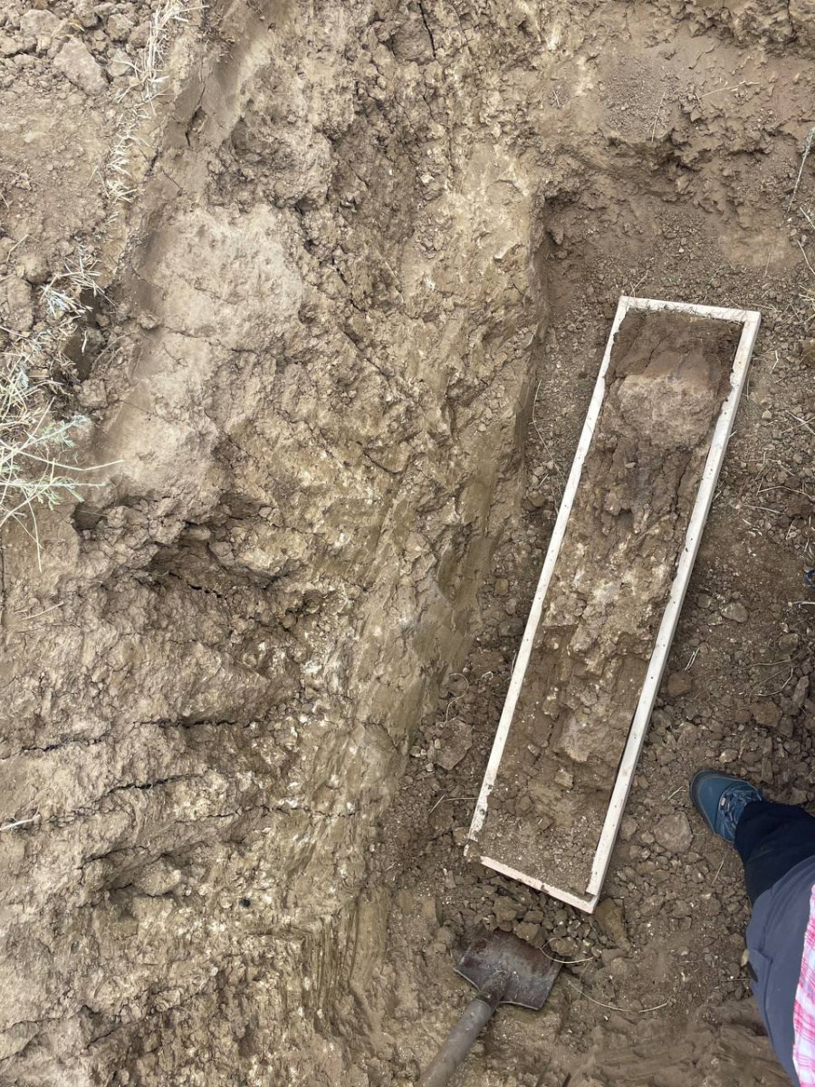 Экспедиция «Республика Дагестан». Каштановая почва. ЦМП им. В.В. Докучаева