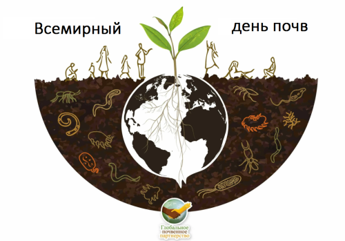Всемирный день почв 2025. ЦМП им. В.В. Докучаева