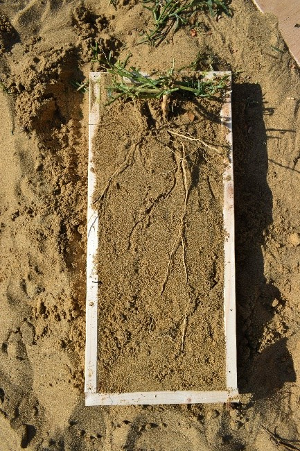 Экспедиция «Республика Дагестан». ЦМП им. В.В. Докучаева