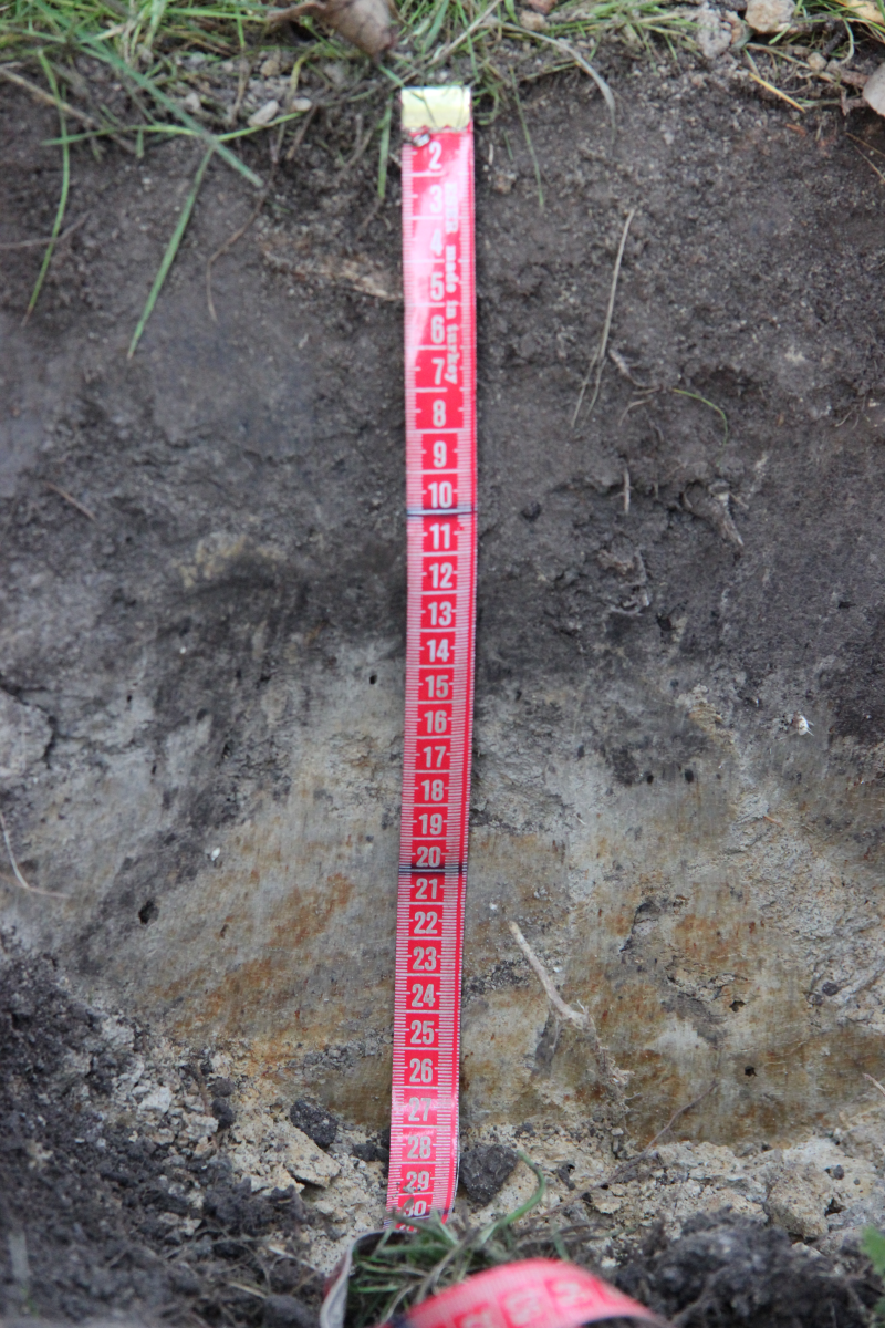 Почвы города Сакнкт-Петербург. Экспедиции 2015 г. ЦМП им. В.В. Докучаева