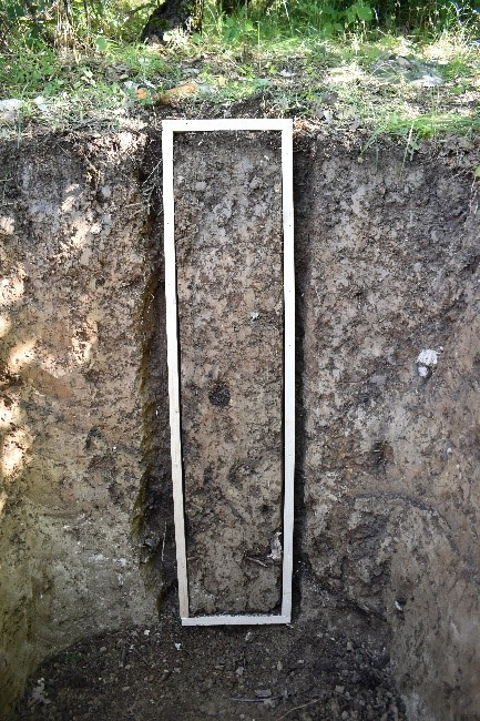 Экспедиция «Республика Дагестан». Коричневая почва. ЦМП им. В.В. Докучаева