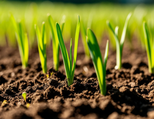 Зеленая лаборатория: от хлоропласта к гумусу. Абонемент. ЦМП им. В.В. Докучаева