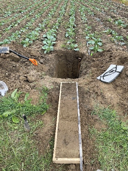 Экспедиция «Республика Дагестан». ЦМП им. В.В. Докучаева