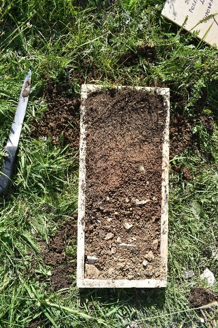 Экспедиция «Республика Дагестан». Бурозем. ЦМП им. В.В. Докучаева