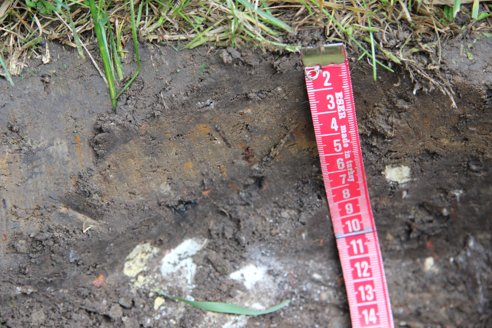 Почвы города Санкт-Петербург. Экуспедиции 2015 г. ЦМП им. В.В. Докучаева