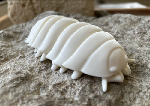 Экскурсия «Подземное царство с раскрашиванием 3D-фигурки почвенного обитателя». ЦМП им. В.В. Докучаева